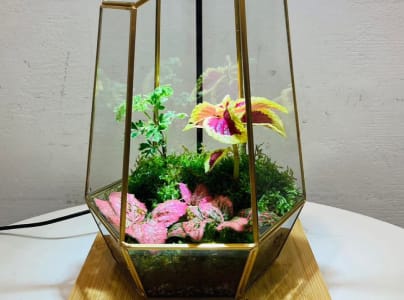 生態瓶03